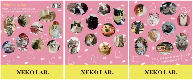 NEKO LABポップアップショップ「愛猫ちゃんがパネルに！愛猫写真大募集！」特大パネルイメージ