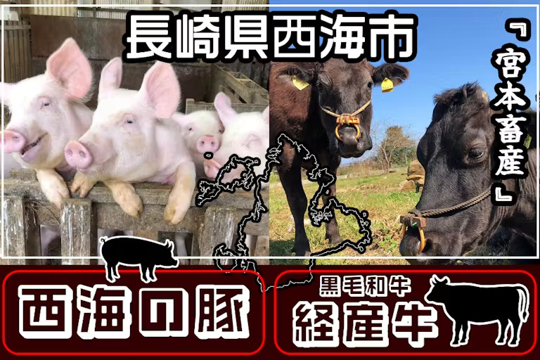 宮本畜産「西海の豚」「黒毛和牛の経産牛」イメージ