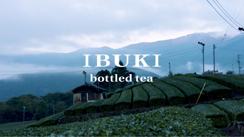 カネス製茶　ボトリングティーブランド「IBUKI bottled tea」