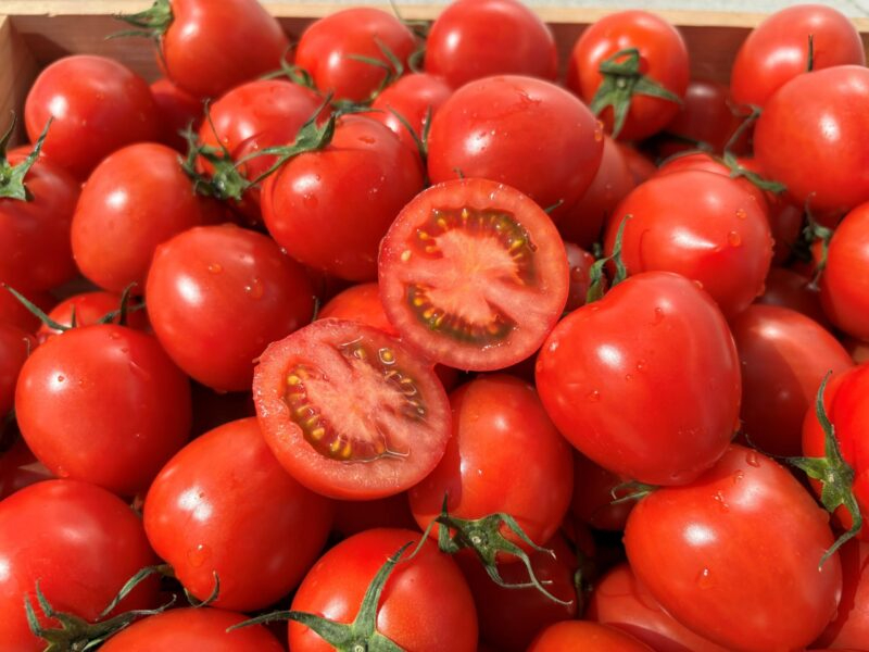 「規格外トマトを活用した加工品開発によるフードロス削減プロジェクト」イメージ